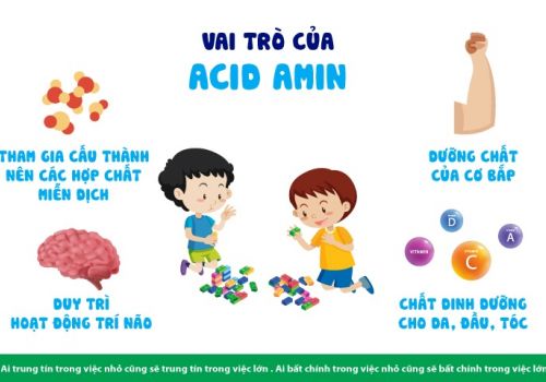 9 AXIT AMIN CẦN THIẾT CHO CƠ THỂ